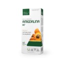 MEDICA HERBS Amigdalina B17 4mg, 60 kaps.