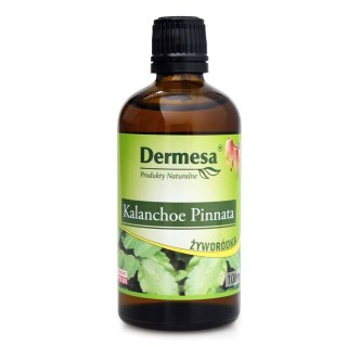 DERMESA Sok z Żyworódki Kalanchoe Pinnata 100ml