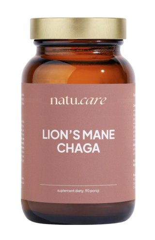 Lion's Mane & Chaga proszek 45g NATU.CARE