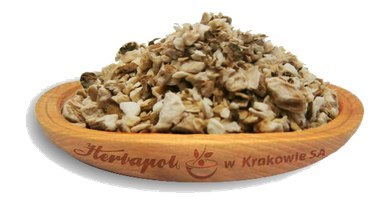 Cykoria podróżnik korzeń 50g HERBAPOL KRAKÓW