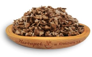 Łopian korzeń 50g HERBAPOL KRAKÓW