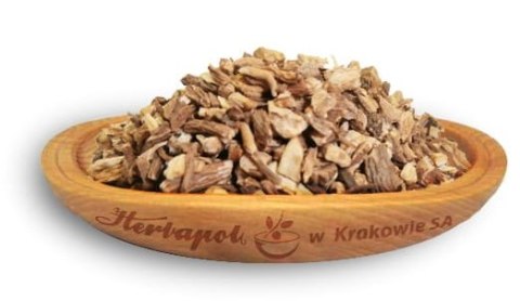Lubczyk korzeń 50g HERBAPOL KRAKÓW