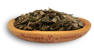 Mącznica liść 50g HERBAPOL KRAKÓW