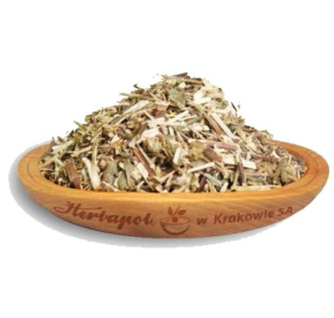 Nawłoć ziele 50g HERBAPOL KRAKÓW
