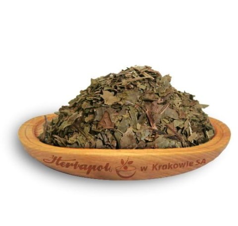 Orzech włoski liść 50g HERBAPOL KRAKÓW