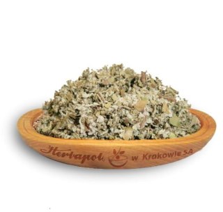 Podbiał liść 50g HERBAPOL KRAKÓW