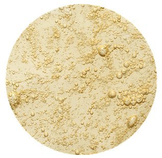 Szampon z lasu do włosów przetłuszczających się 250ml OPCJA NATURA