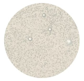 Zdrowy dezodorant SPRAY pomarańcza & paczula 50ml OPCJA NATURA