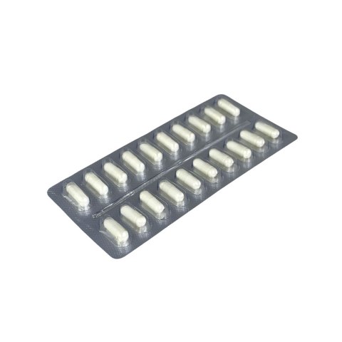MEDICA HERBS Beta Glukan 1,3/1,6D 320mg, 60 kaps.