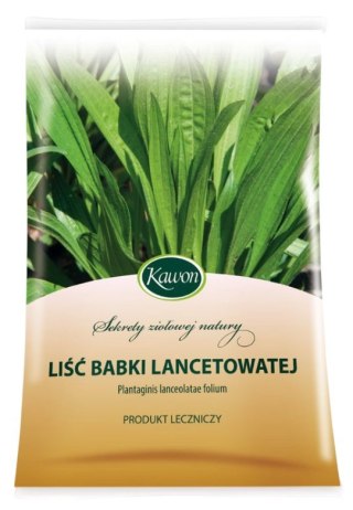 Babka lancetowata liść 50g KAWON