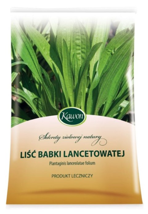 Babka lancetowata liść 50g KAWON