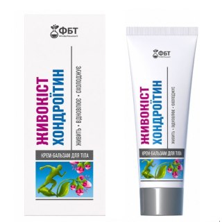 FBT Krem-balsam żywokost + chondroityna 75ml GOLDEN PHARM