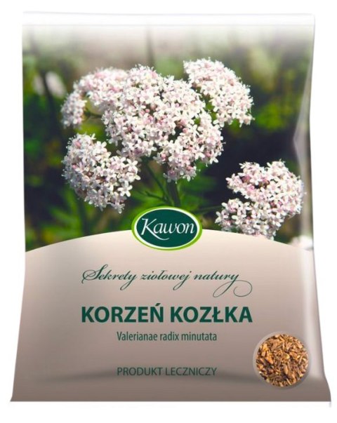 Kozłek korzeń 50g KAWON
