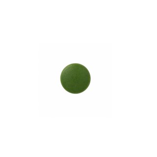 PIĘĆ PRZEMIAN Chlorella BIO tabletki 500mg, 140g