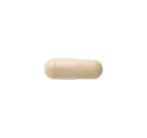 SWANSON Artichoke extract 250mg, 60kaps. - Karczoch