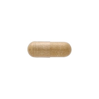 SWANSON Chinese Skullcap 400mg, 90kaps. - Tarczyca Bajkalska