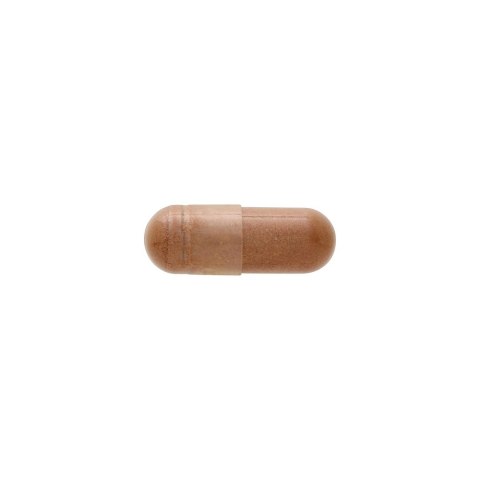 SWANSON Cinnamon Extract 250mg, 90kaps. - Cynamon ekstrakt