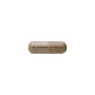 SWANSON Damiana 510mg, 100kaps.