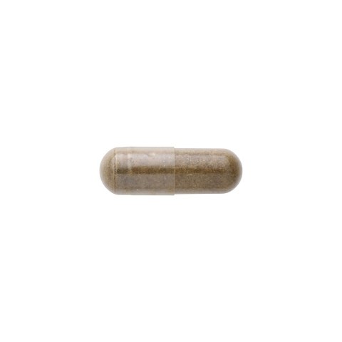 SWANSON Damiana 510mg, 100kaps.