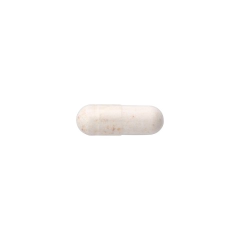 SWANSON Lactobacillus Gasseri Probiotic 60vdrcaps.