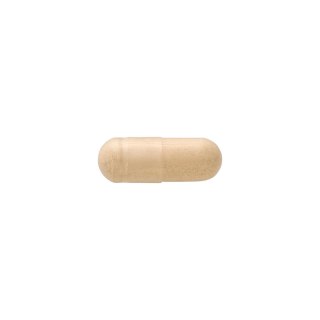 SWANSON Maca ekstrakt 500mg, 60kaps.