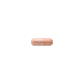 SWANSON Pycnogenol 50mg, 50kaps.