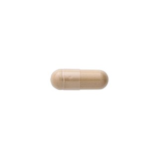 SWANSON Shiitake Mushroom 500mg, 60kaps.
