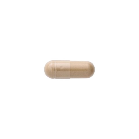 SWANSON Shiitake Mushroom 500mg, 60kaps.