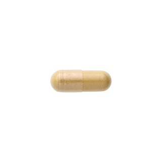 SWANSON Yucca 500mg, 100kaps.
