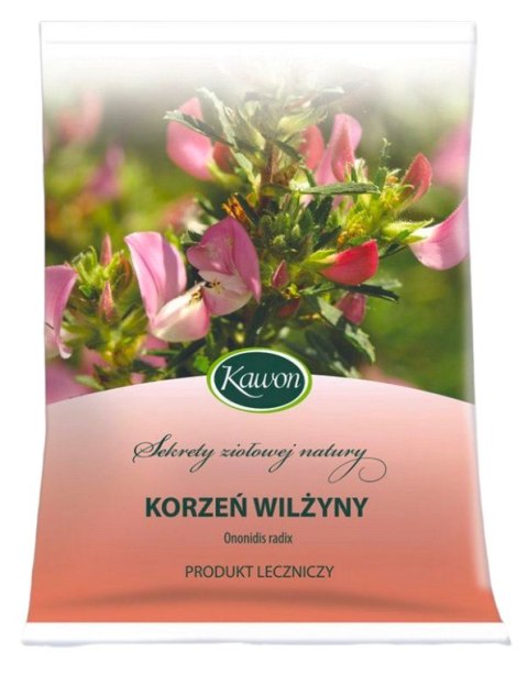 Wilżyna korzeń 50g KAWON