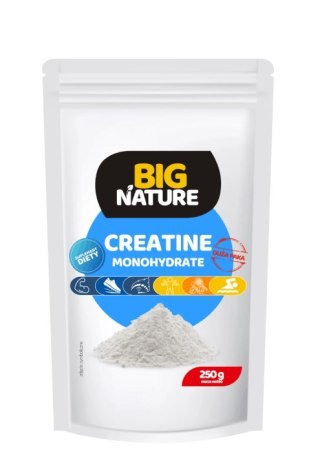 BIG NATURE Kreatyna monohydrat 250g